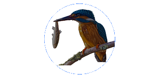 logo-white